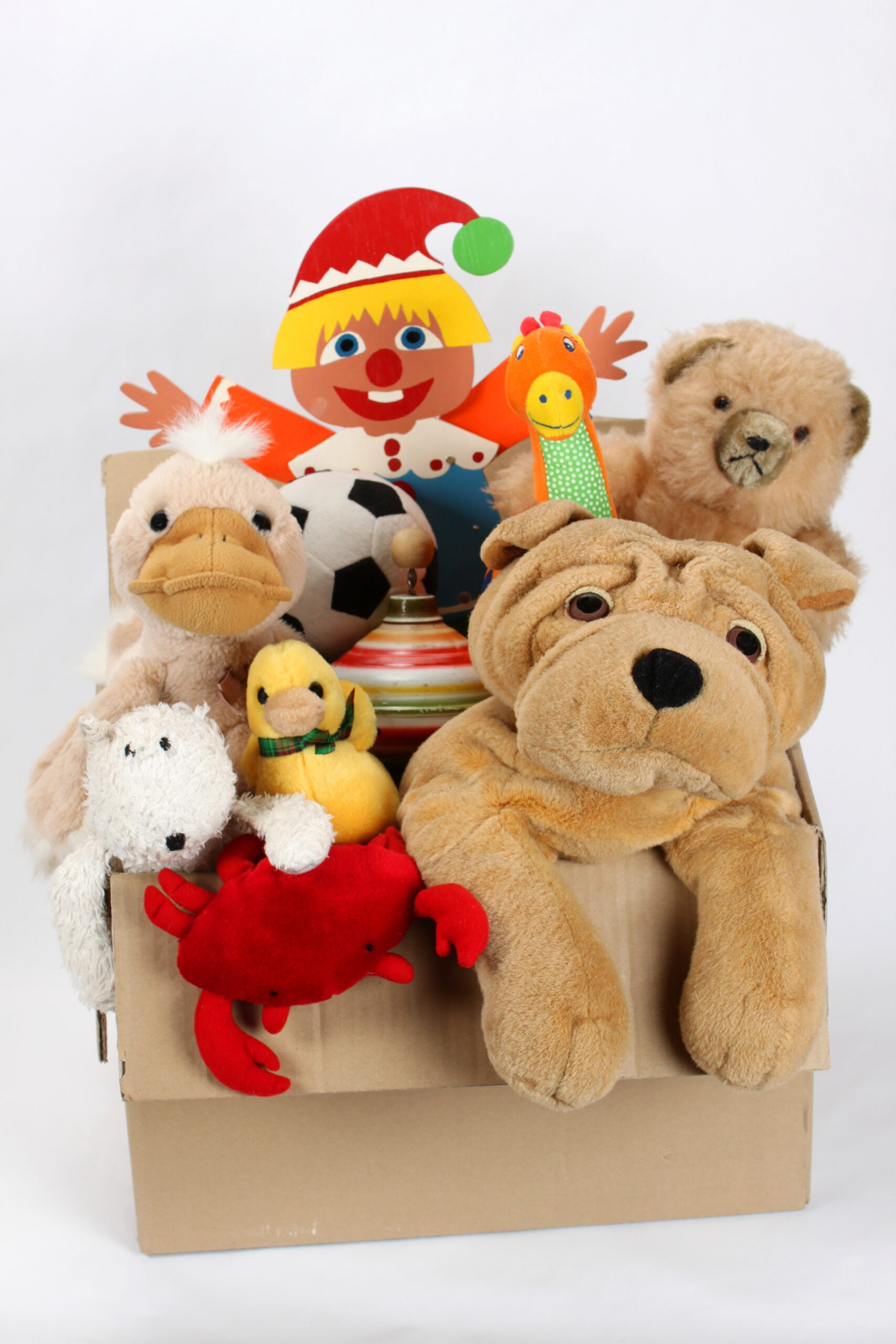 Kuscheltiere im Pappkarton für Umzug fertig